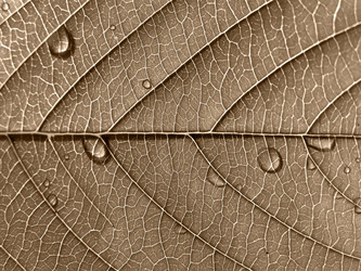 Similar image 898476