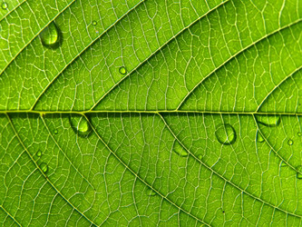 Similar image 898479