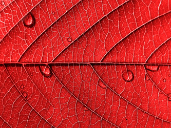 Similar image 898482