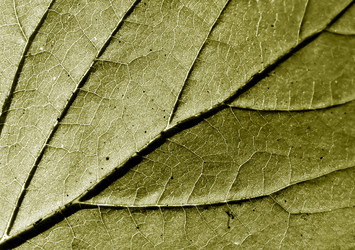 Similar image 898483