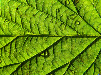 Similar image 898484