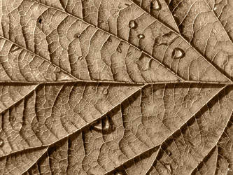 Similar image 898486