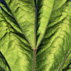 Similar image 898489