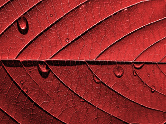 Similar image 898495