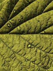 Similar image 898499