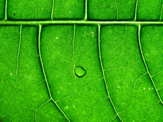 Similar image 898498