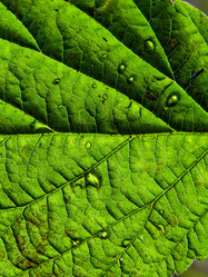 Similar image 898505