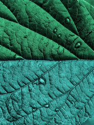 Similar image 898508