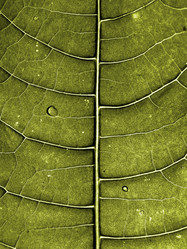 Similar image 898510