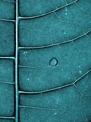 Similar image 898511