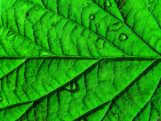 Similar image 898513