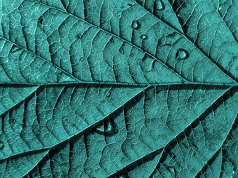 Similar image 898519