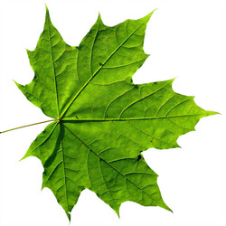 Similar image 898521