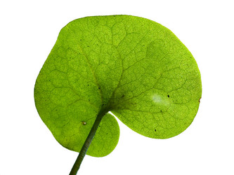 Similar image 898523