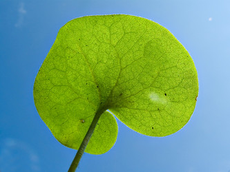 Similar image 898525