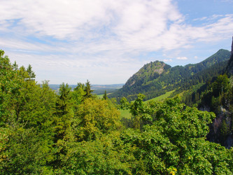 Similar image 898546