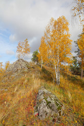 Similar image 898567