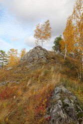 Similar image 898569