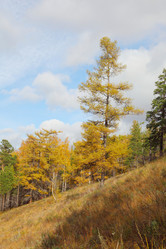 Similar image 898574