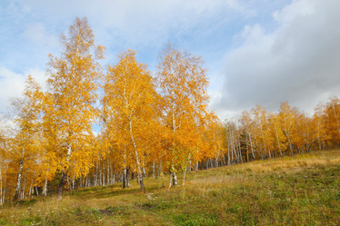 Similar image 898575