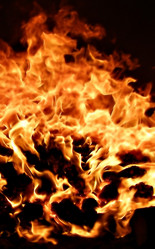 Similar image 898581