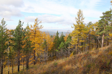 Similar image 898584