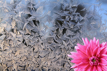 Similar image 898585