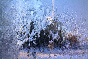 Similar image 898597