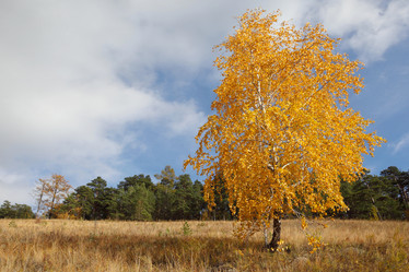 Similar image 898600