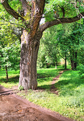 Similar image 898669