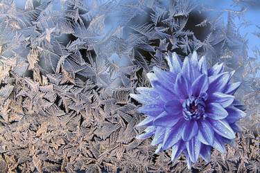 Similar image 898729