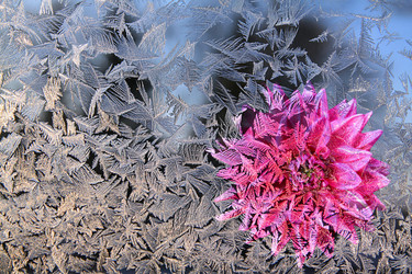 Similar image 898730