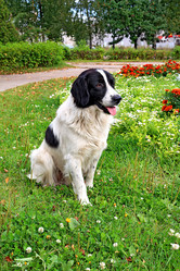 Similar image 898731