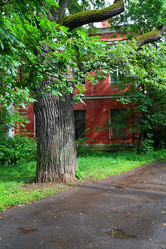 Similar image 898740