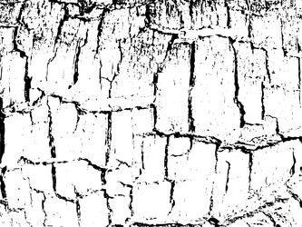 Similar image 898752