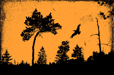 Similar image 898754