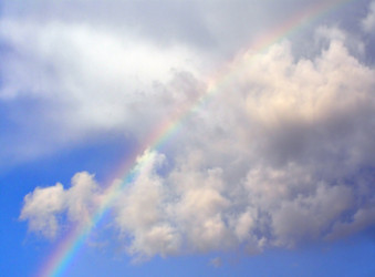 Similar image 898773