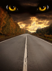 Similar image 898840