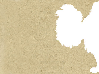 Similar image 898842