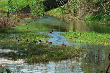 Similar image 898845