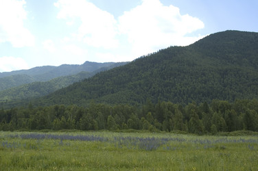 Similar image 898854