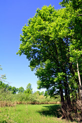 Similar image 898863