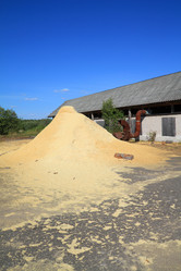 Similar image 898865