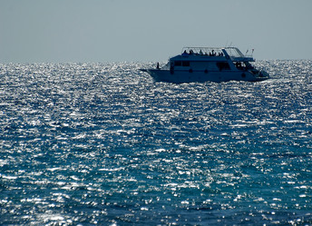 Similar image 898871