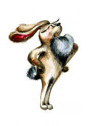 Similar image 898890