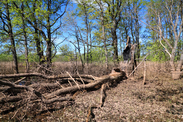 Similar image 898892