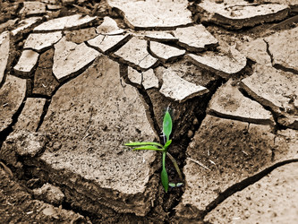 Similar image 898901