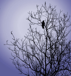 Similar image 898902