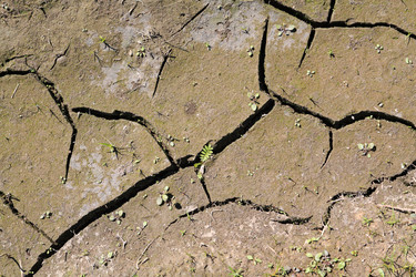 Similar image 898910