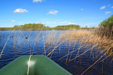 Similar image 898915